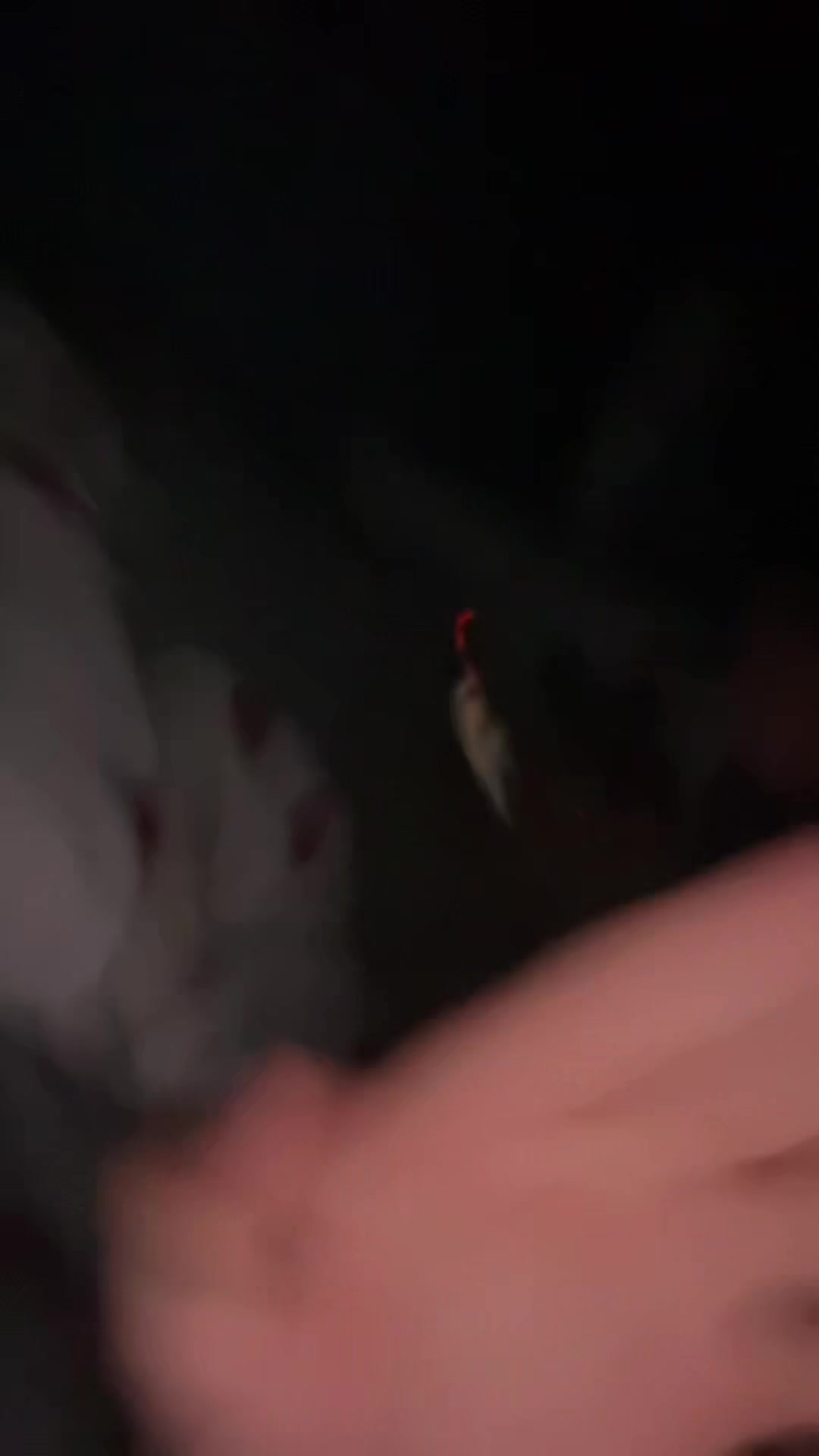 @✧꧁ℛℴ𝓂𝓎꧂✧