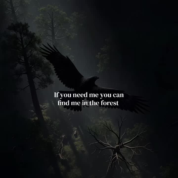 @kaitlyn🧚&zwj;♀️✨