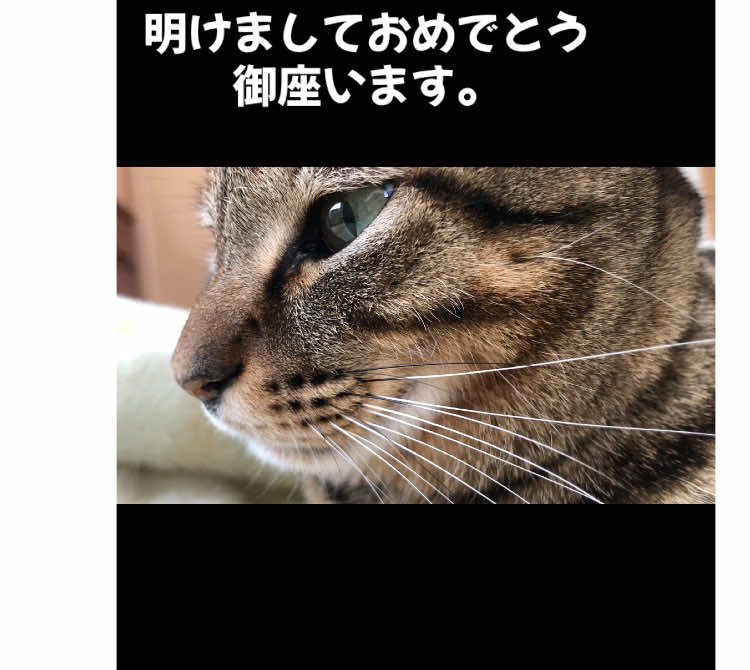 @こゆきチャンネル