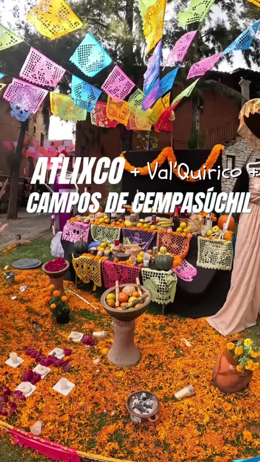 @Dviajeros tours