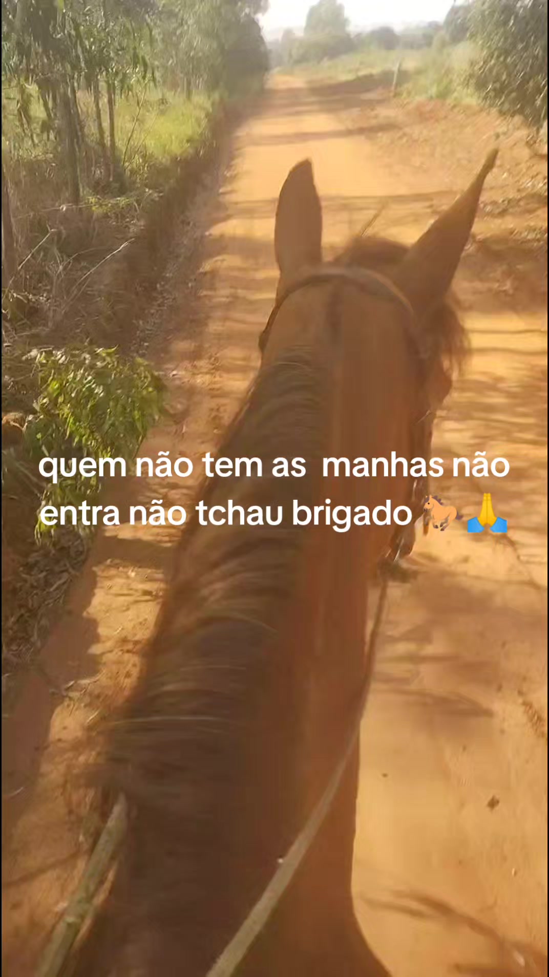 @Willian & Joelma