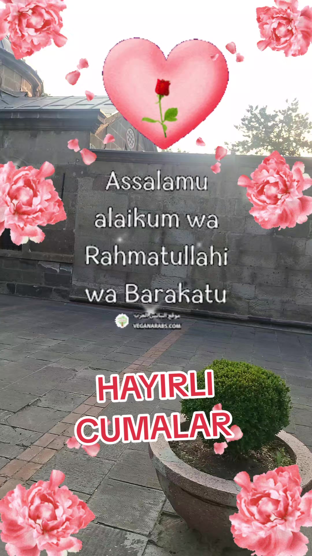 @gulvehsrn