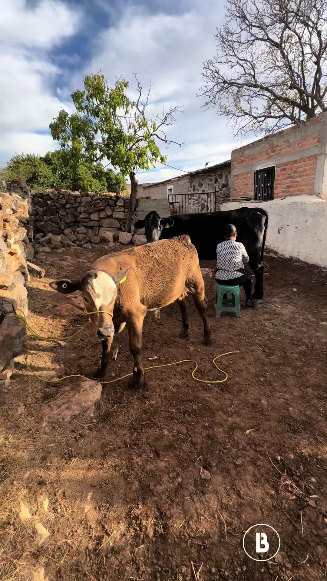 @El zurdo🌵🐴