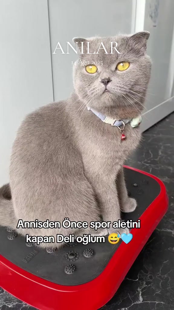 @gül_ygt34