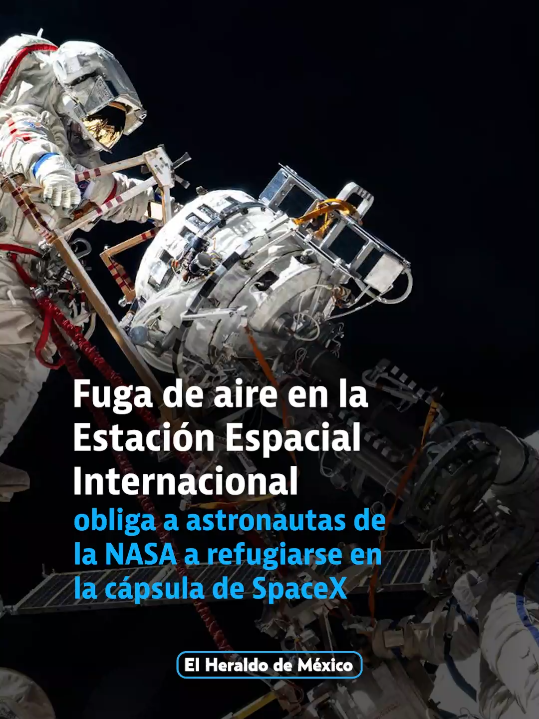 @elheraldodemexico