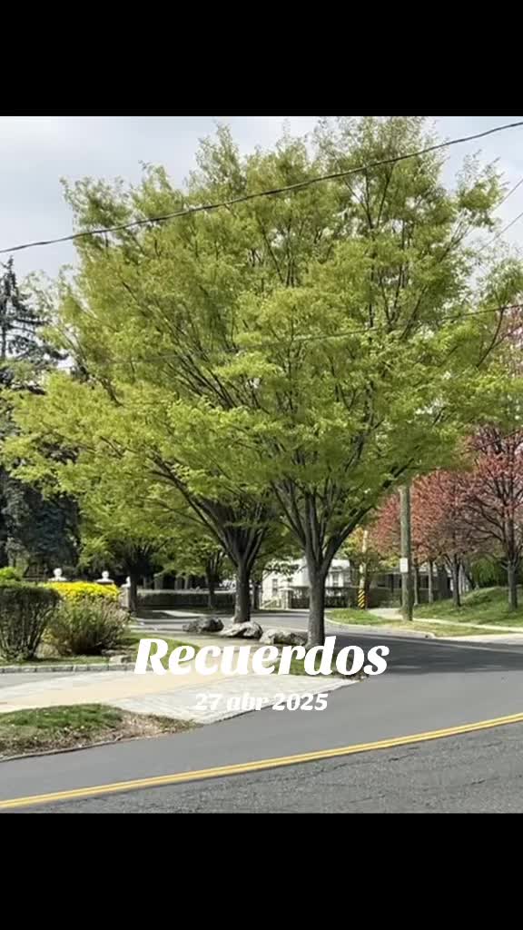 @esmeraldagarcia731