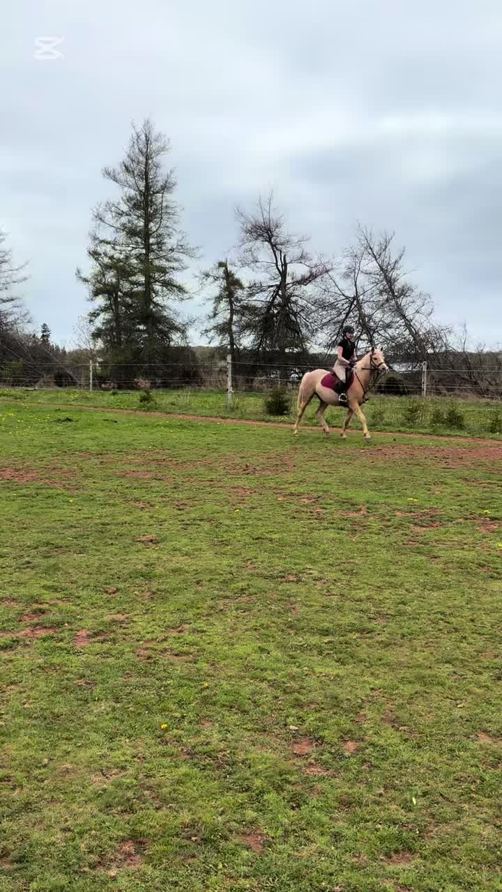 @jordyn.eq