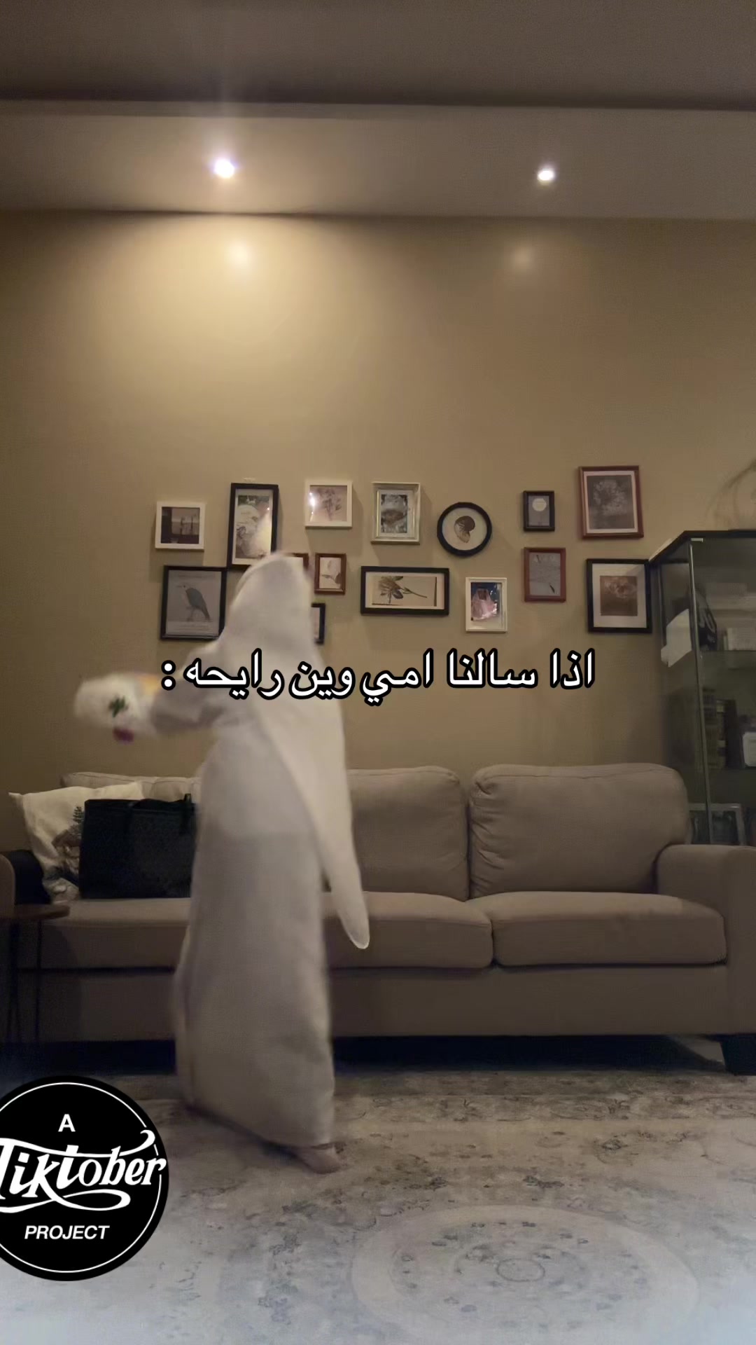 @ترف الحميداني🎀🎀