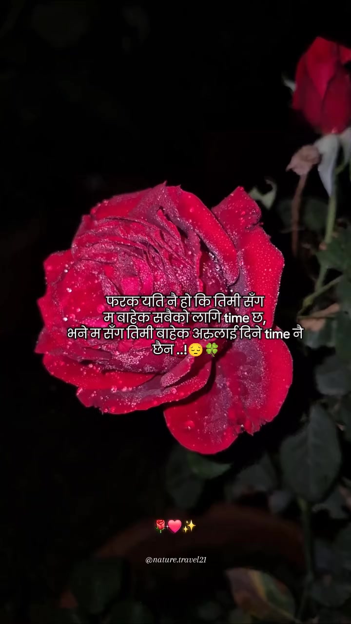 @ミ🌷 𝐒𝐢𝐦𝐩𝐥𝐞 𝐁𝐨𝐲 🌷彡
