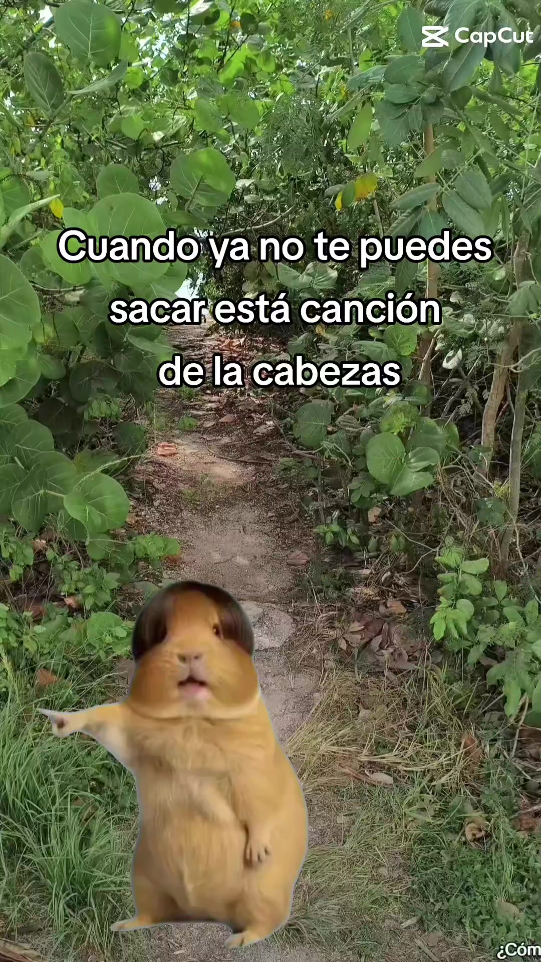 @kazper
