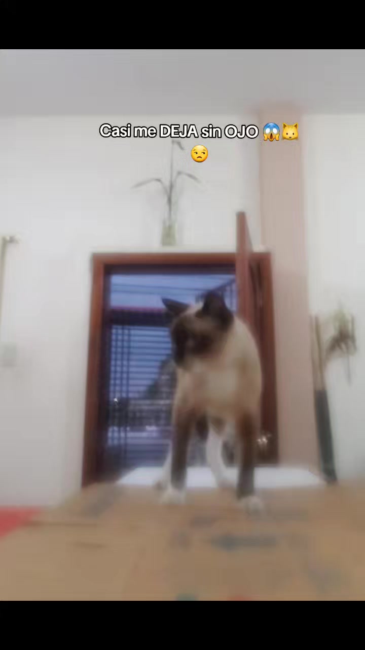 @MagalyZam🔹️ 💎 🔹️