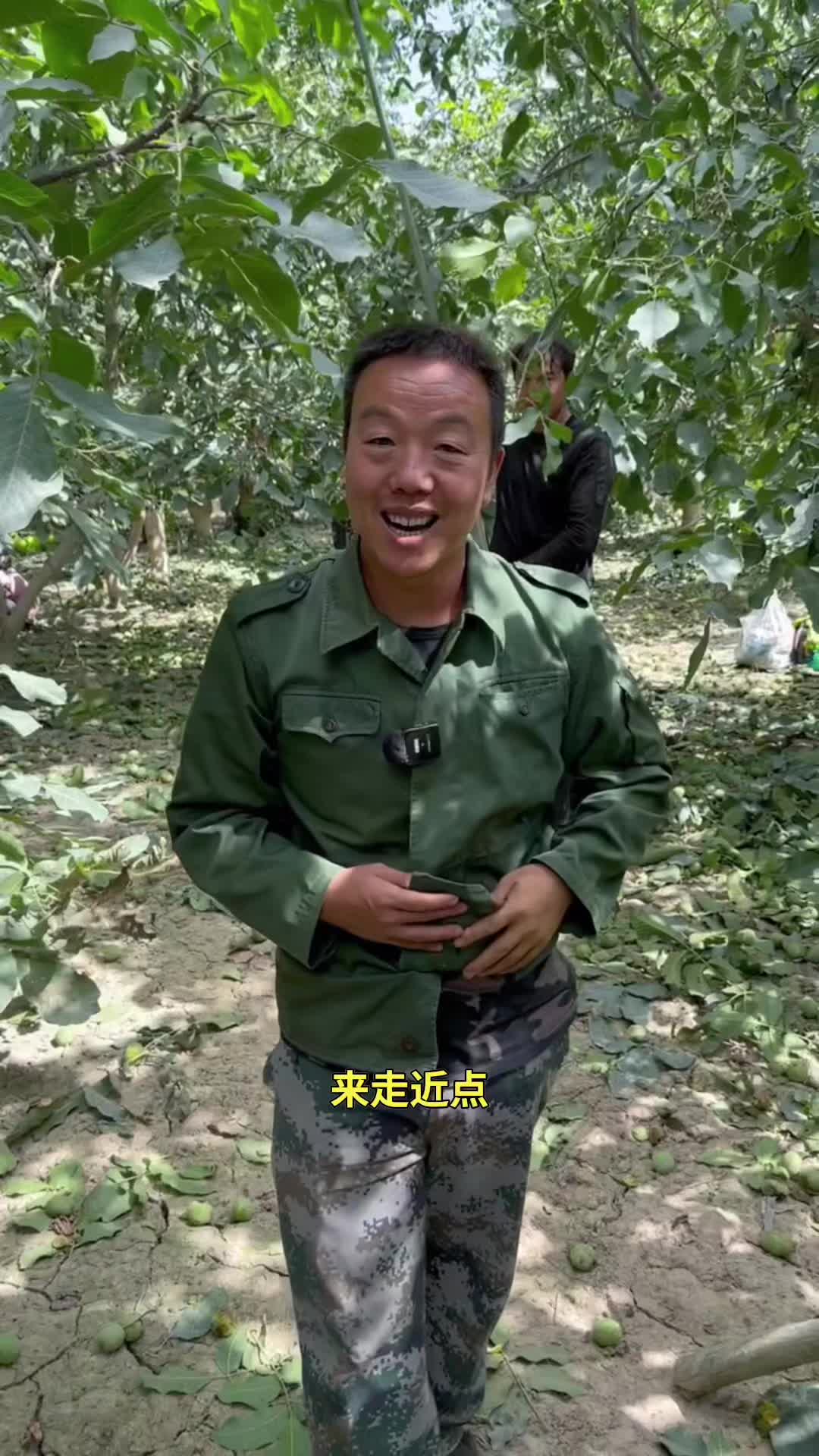 @疆果果新疆特产
