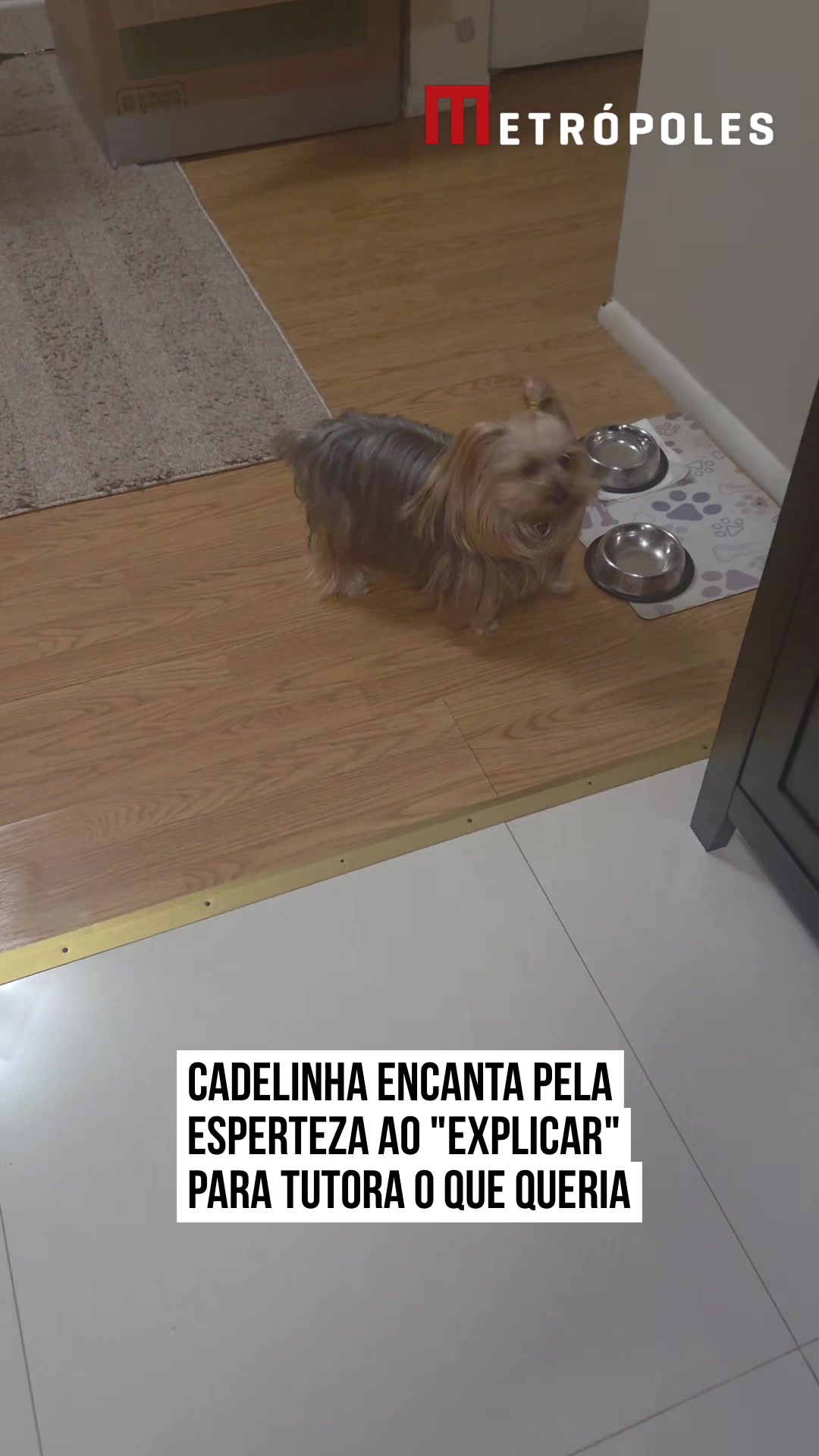 @Metr&oacute;poles Oficial