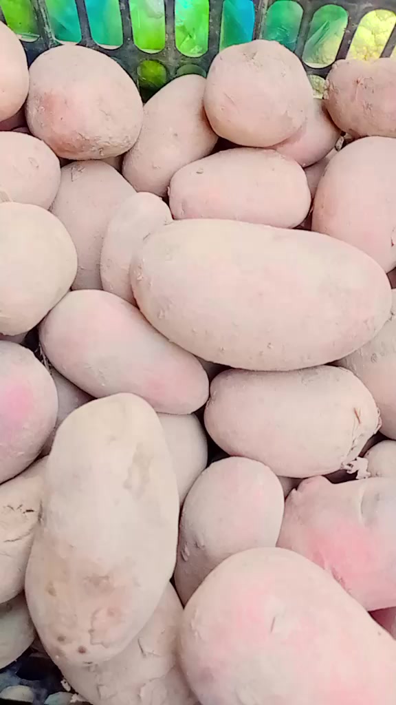@irfan8003