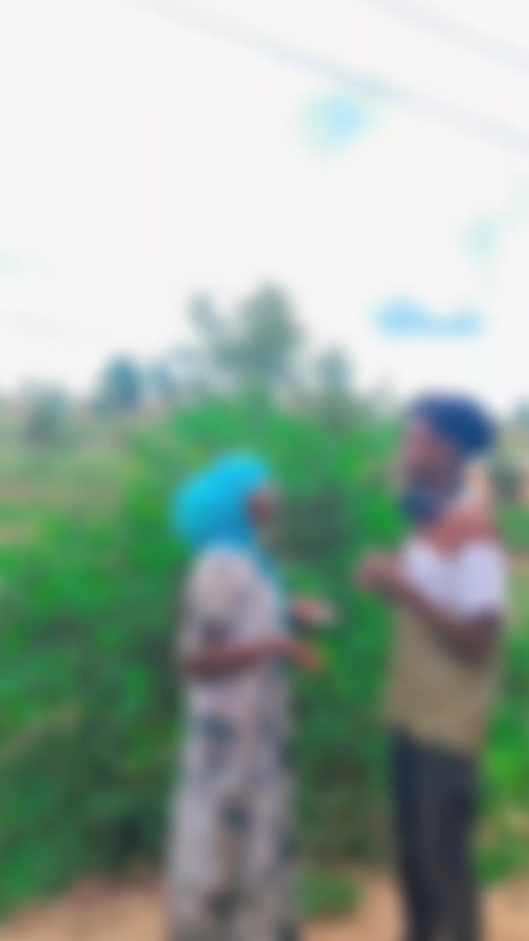 @qull fiijalala