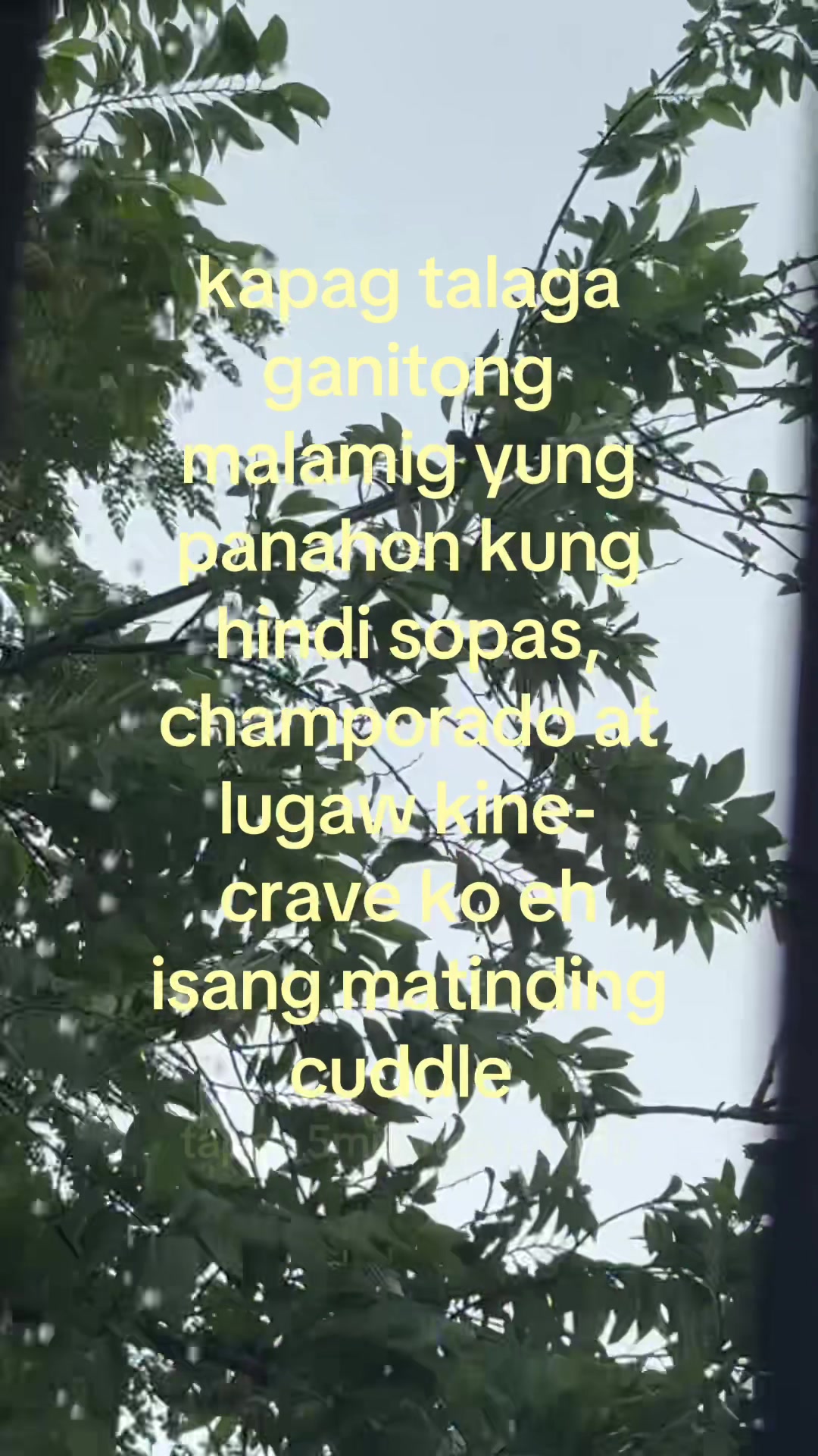 @Kai