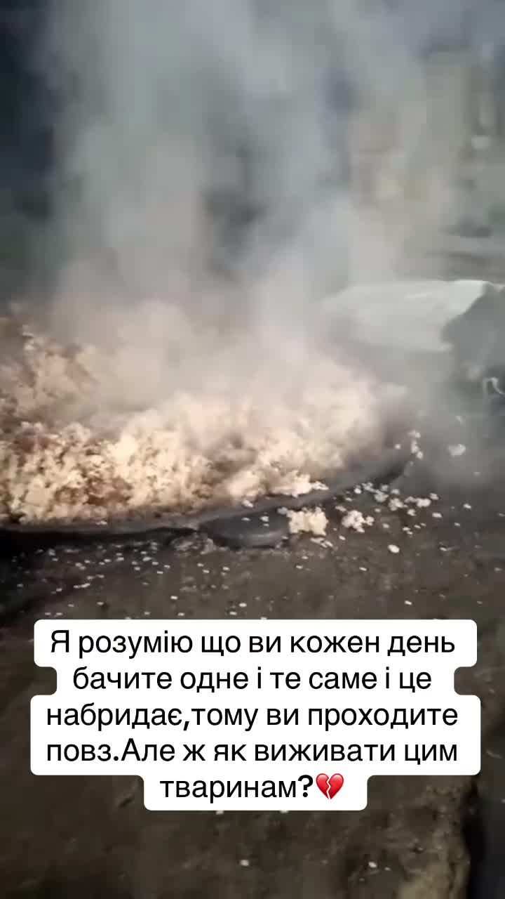 @kvitochki222