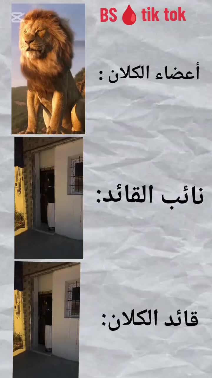 @WISTの🇩🇿