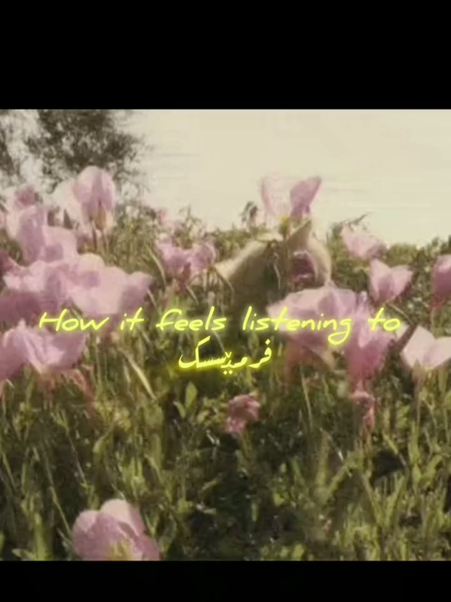 @𓏲ּ𝄢
