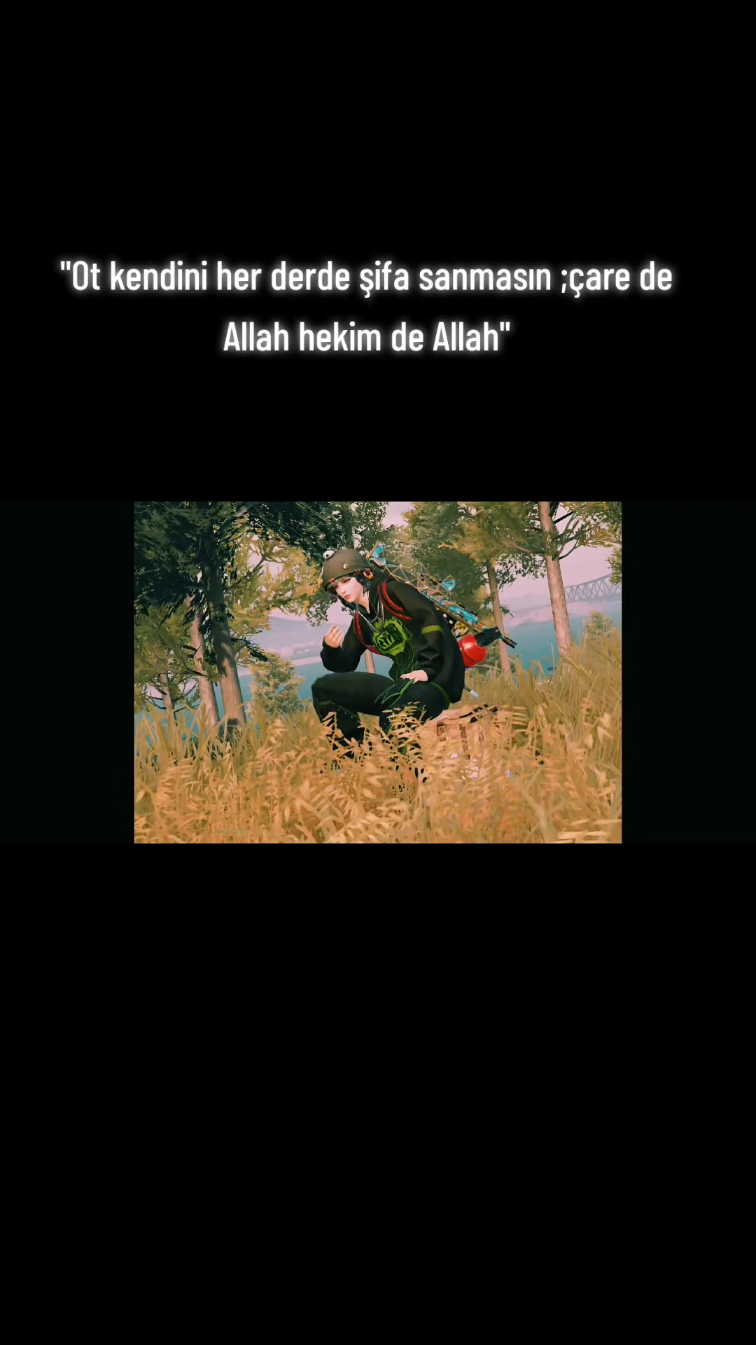 @ミ★ Ne&Ccedil;E🍁 ZOZAN ★彡
