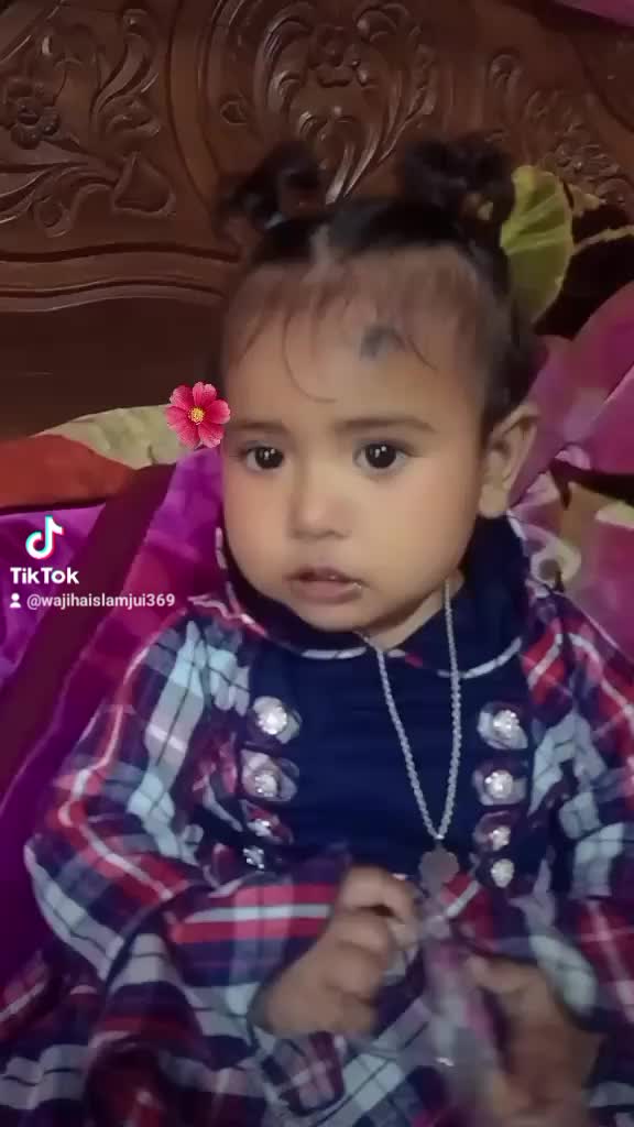 @wajihaislamjui369