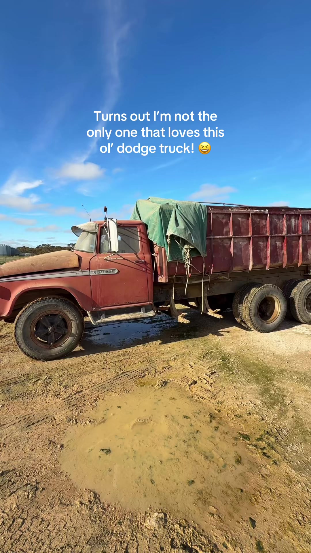 @Steph, random farm girl