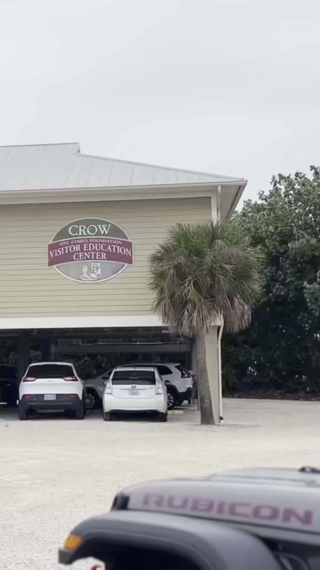 @CROW Clinic