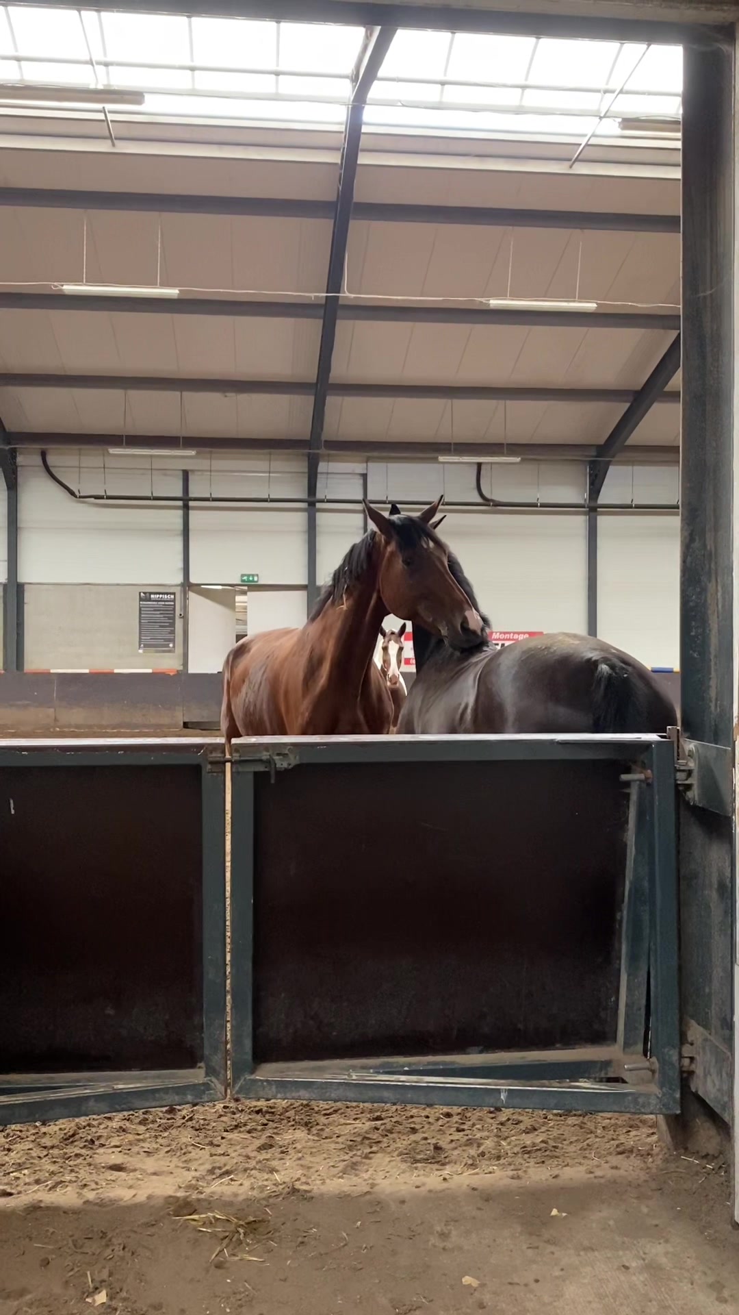 @Hippisch Centrum Dordrecht