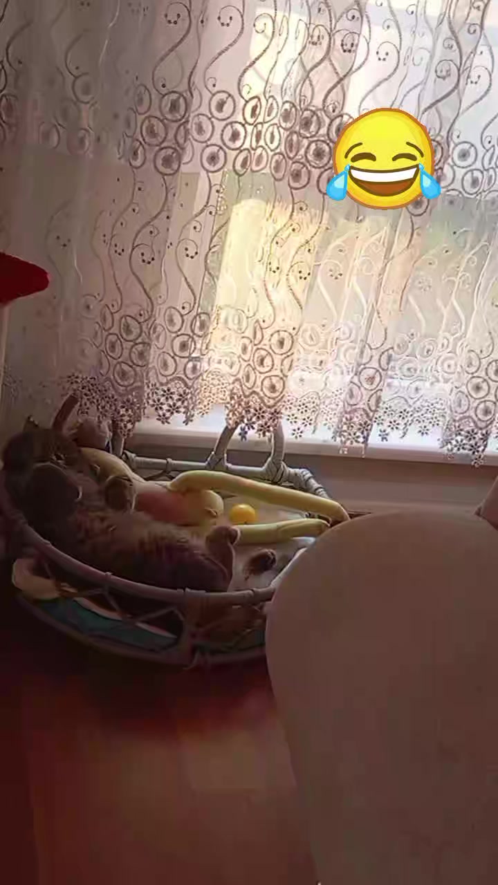 @evimizinbirtanesi