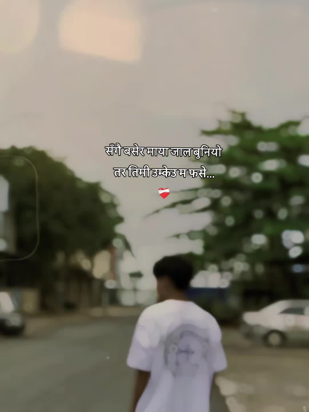 @๐๐ฐ๐ฐ๐ถ๐ฐ ๐ถ๐ฐ๐ผ๐ด๐ ๏ฃฟ
