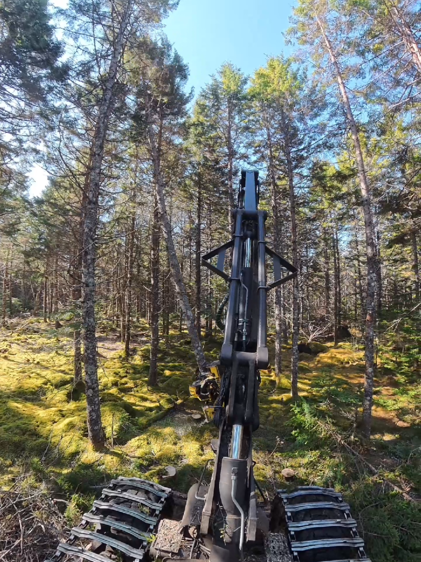 @Nova Scotia Logger