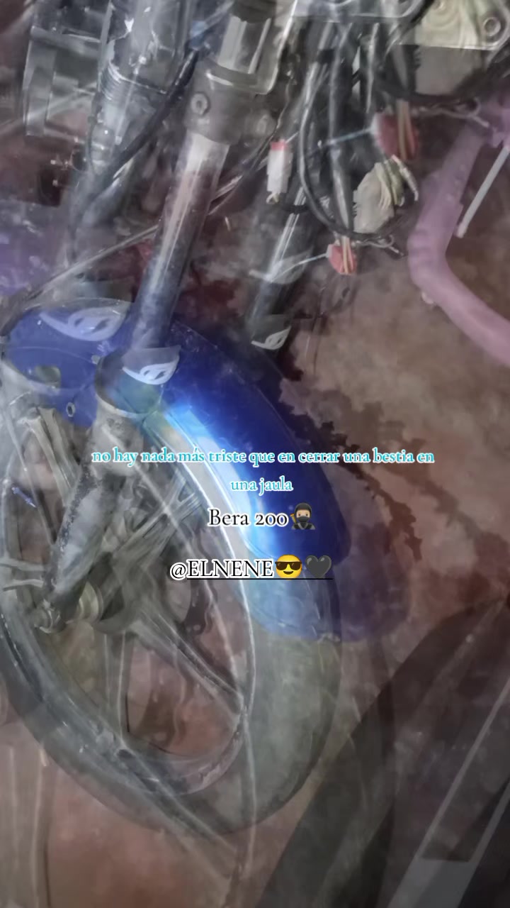 @⁵⁰⁵pantertravk
