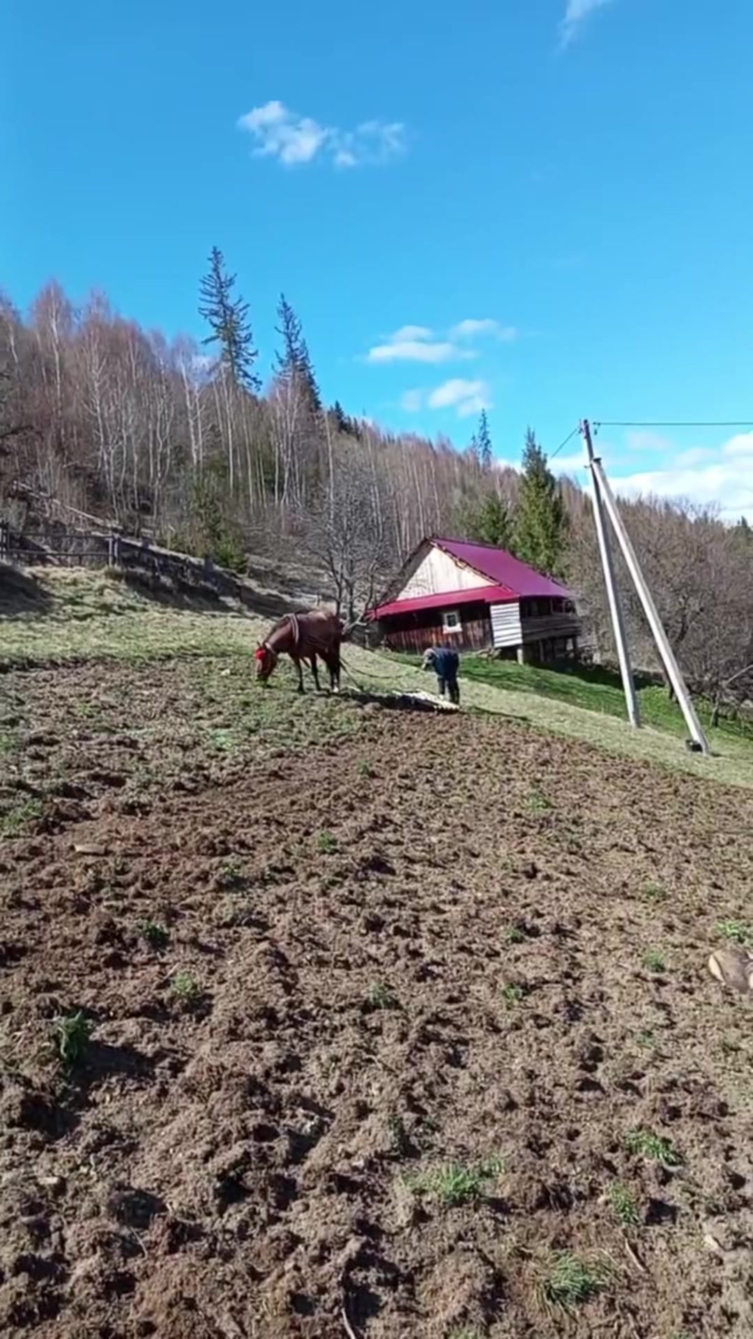 @vasil_piniv