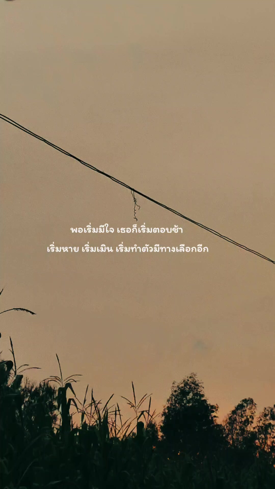 @pipat🌻🤍51.7K