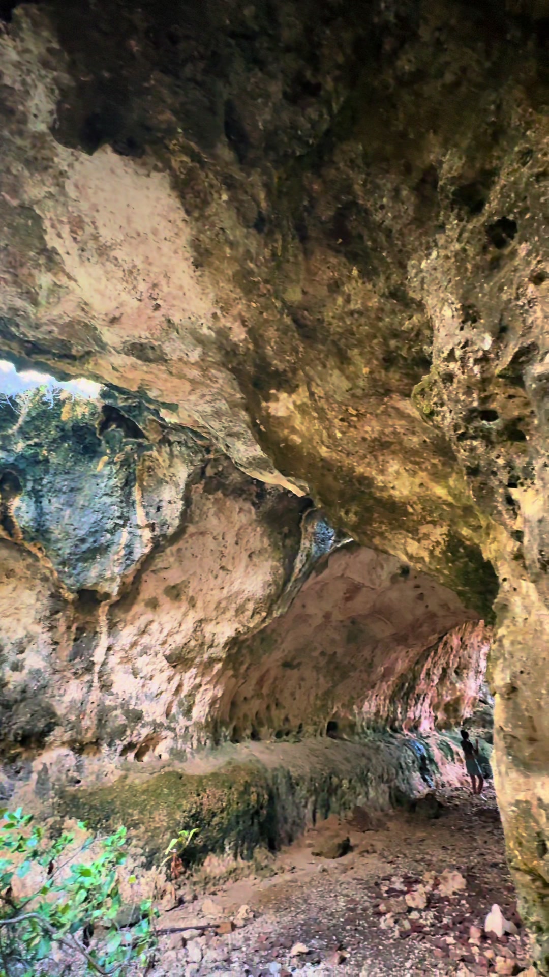 @Aruba random hikes