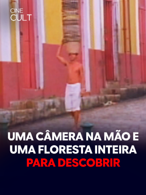 @TV Cultura Oficial