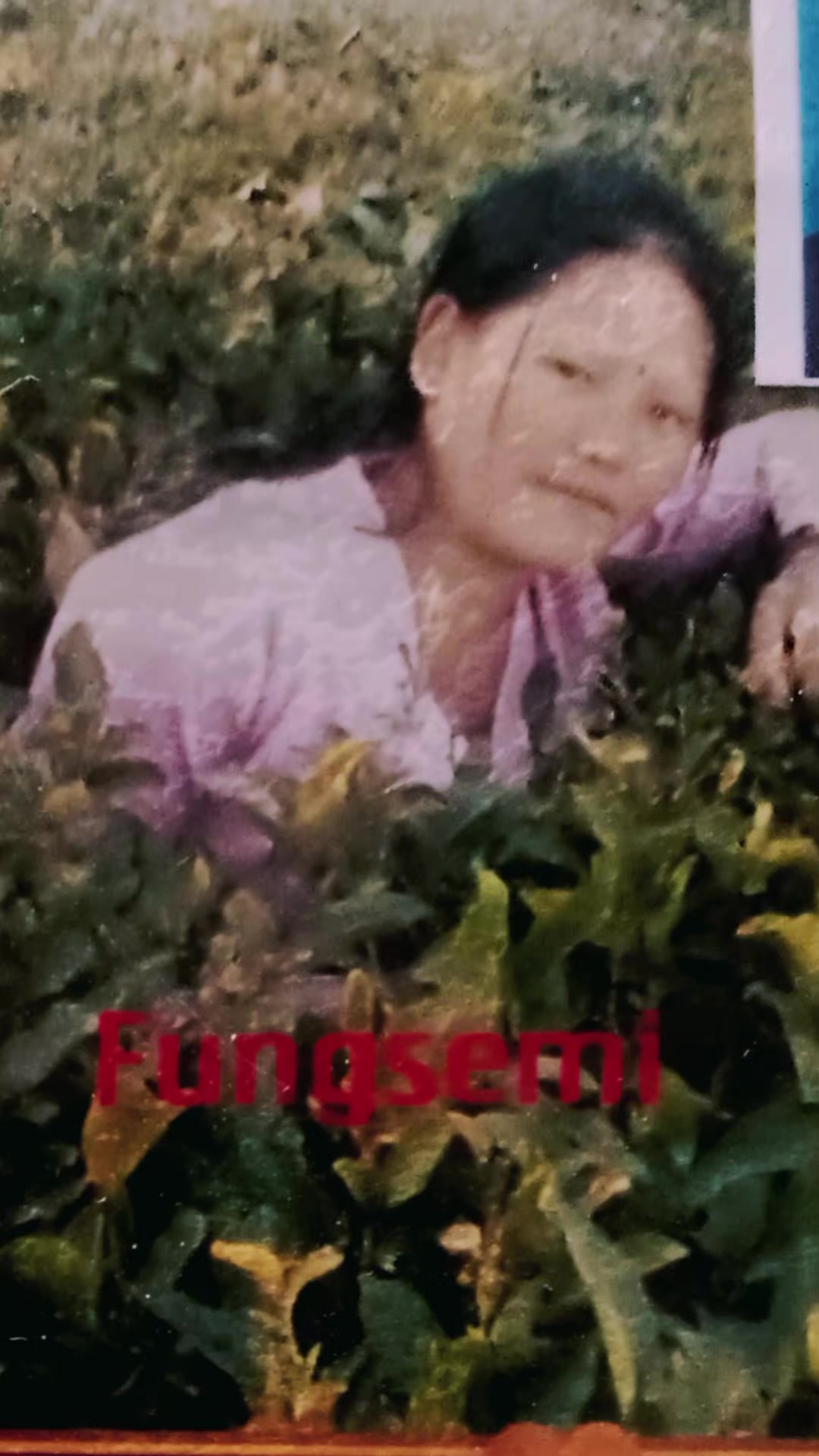 @Fungsemi Limbu