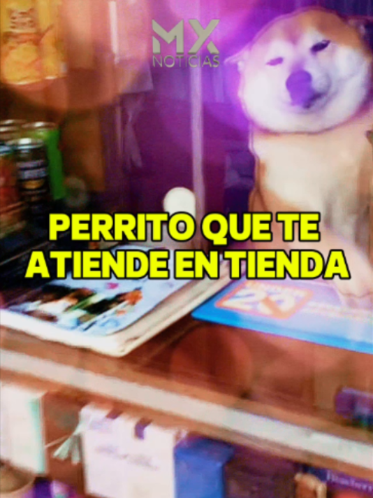 @MX