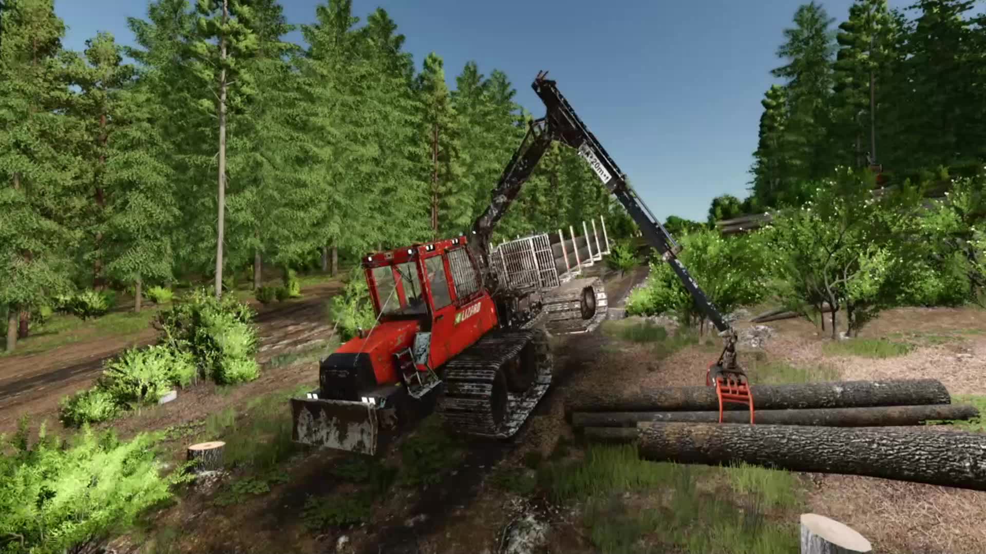 @SONS OF FORESTRY