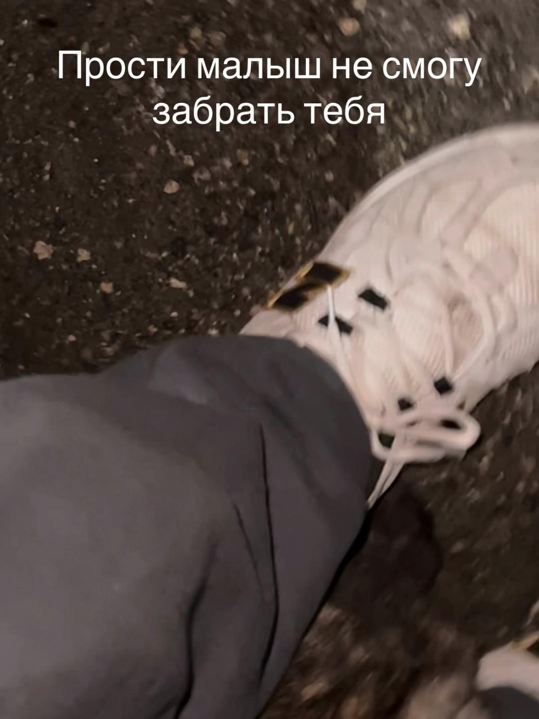 @tgk_mikvaluk