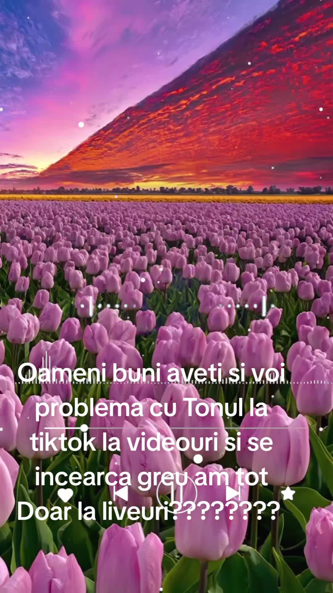 @filipo