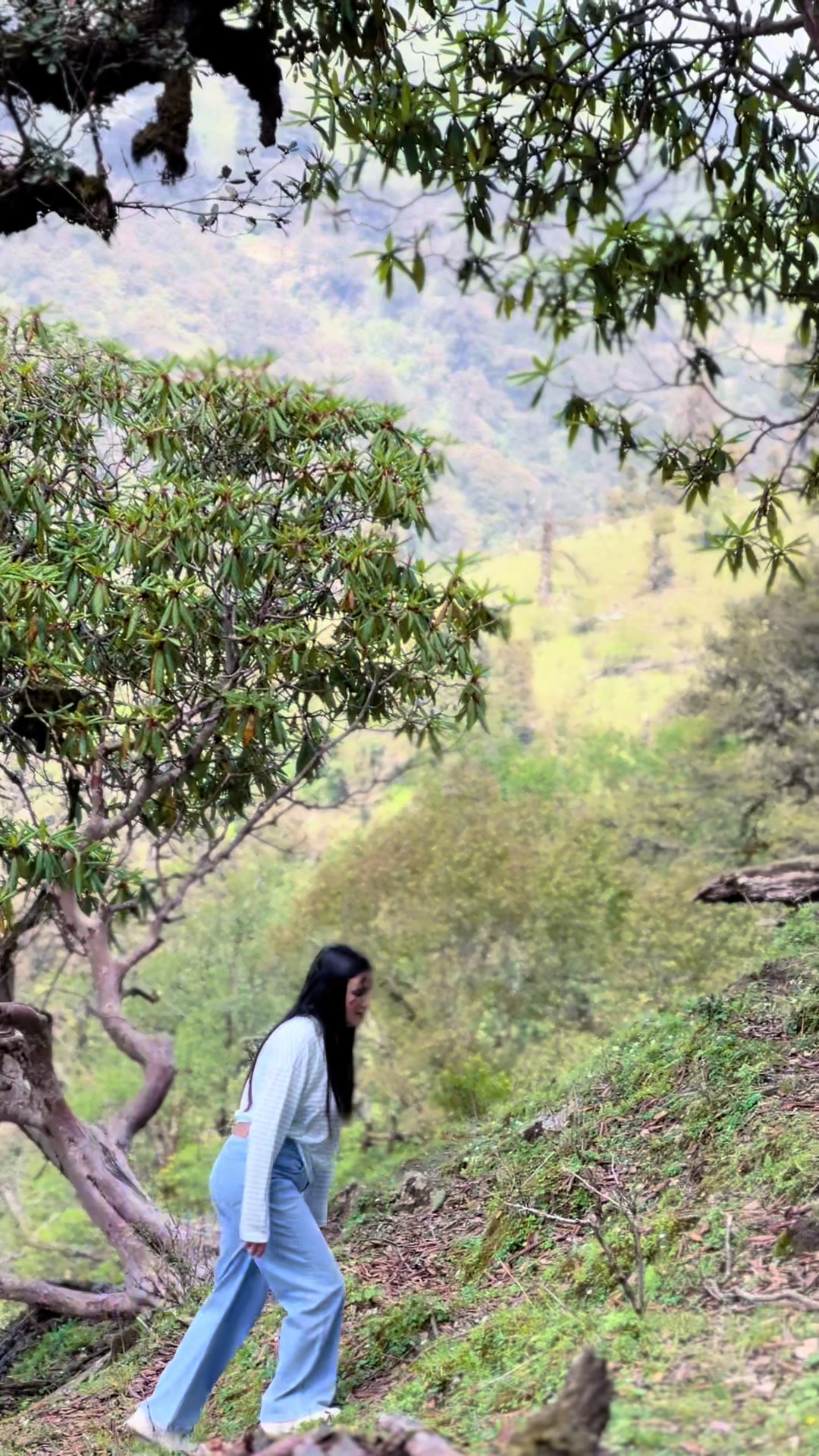 @पबित्रा सापकोटा