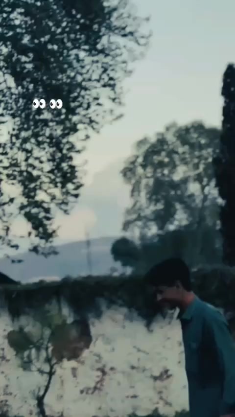 @راجہ 🐼