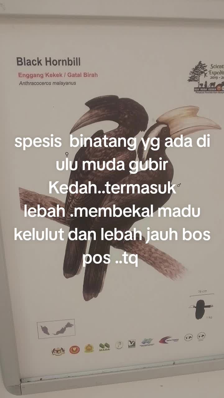 @Wan nasruy