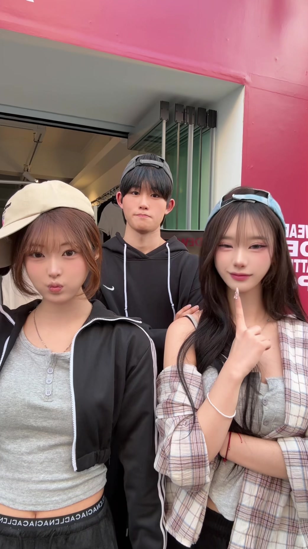 @죠팝나무