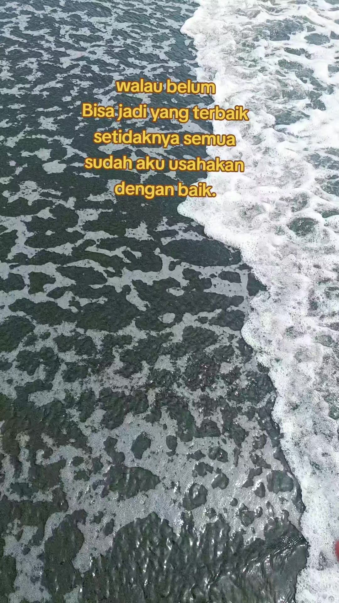 @🇮🇩❤️Bungaseroja2🇹🇼💪