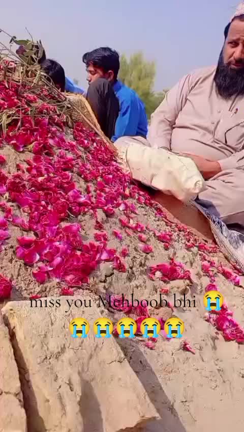 @malisahu786