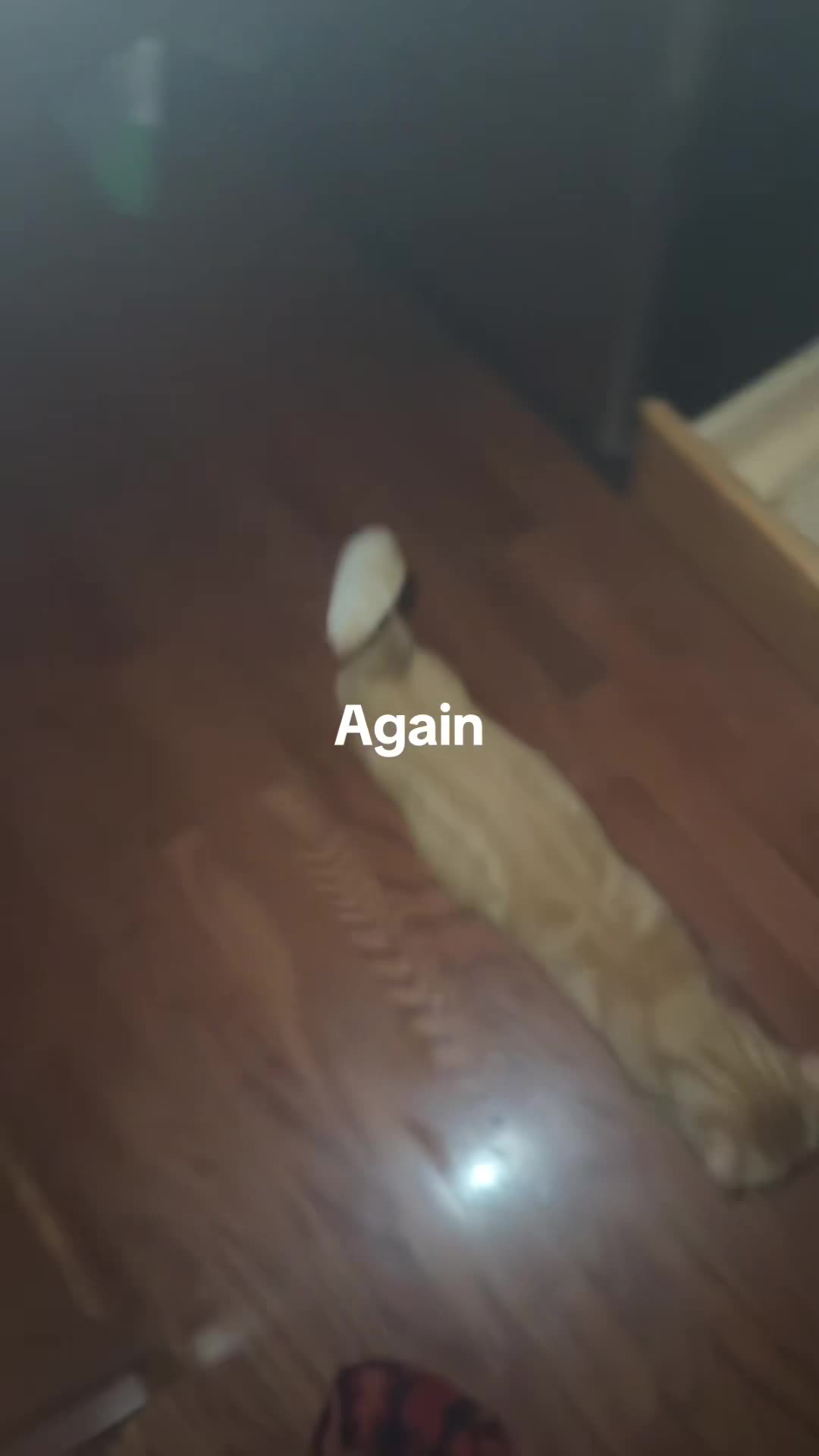@Icriedforhelponce