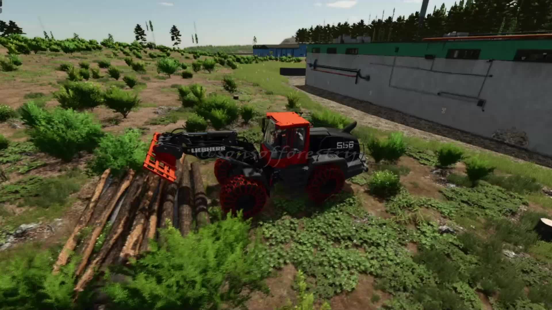 @SONS OF FORESTRY