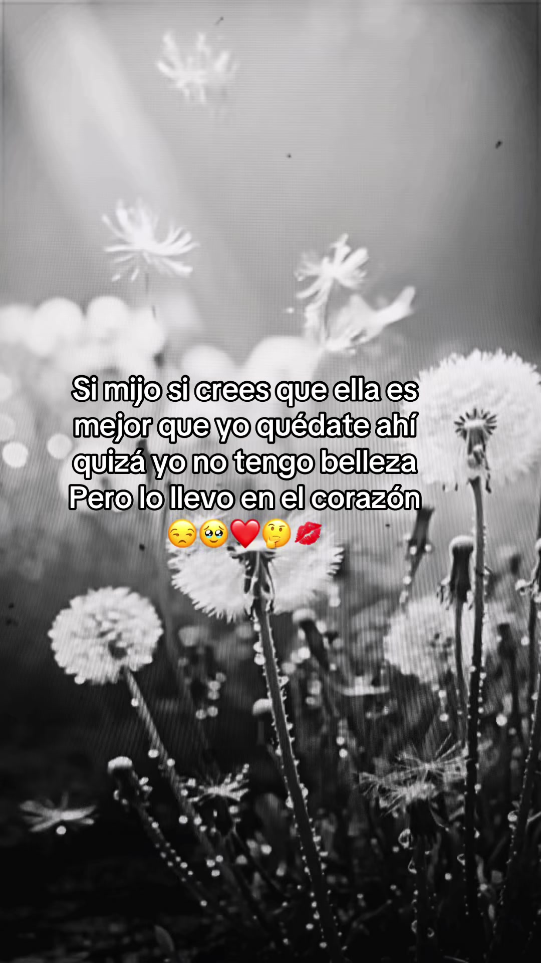@Aida RamireZz❤️